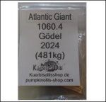 1060.4 Gödel 2024 (481kg) 1060.4 Gödel 2024 (481kg)