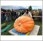 1313 Matesa 2012 (595,5kg) 1313 Matesa 2012 (595,5kg)