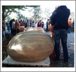 1368 Zolotucha 2018 (620,5kg) 1368 Zolotucha 2018 (620,5kg)