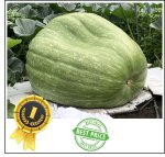 1396.6* Wild 2025 (633,4kg) 1396.6* Wild 2025 (633,4kg)