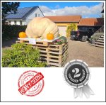 1415.4 M.Adel 2024 (642kg) 1415.4 M.Adel 2024 (642kg)