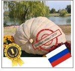 1801 Chusov 2024 (817kg) 1801 Chusov 2024 (817kg)