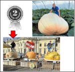 1845.3 Grafe 2025 (837kg) 1845.3 Grafe 2025 (837kg)