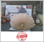 1953 Daletas 2020 (885,8kg) 1953 Daletas 2020 (885,8kg)