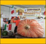 2008.4 Cutrupi 2020 (911kg) 2008.4 Cutrupi 2020 (911kg)