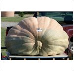 2021.5 Sperry 2020 (917kg) 2021.5 Sperry 2020 (917kg)