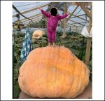 2080 Bernstrom 2024 (943,5kg) 2080 Bernstrom 2024 (943,5kg)