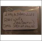 2114.6 Daho 2023 (959,1kg) 2114.6 Daho 2023 (959,1kg)