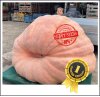 2124.2 Würsching 2024 (963,5kg) 2124.2 Würsching 2024 (963,5kg)