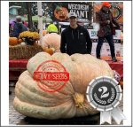 2131 Bernstrom 2023 (966,6kg) 2131 Bernstrom 2023 (966,6kg)