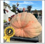 2215.6 Würsching 2024 (1005kg) 2215.6 Würsching 2024 (1005kg)