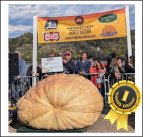 2357 Jacobus 2024 (1069,1kg) 2357 Jacobus 2024 (1069,1kg)