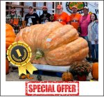 2464 Stelts 2024 (1117,6kg) 2464 Stelts 2024 (1117,6kg)