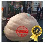 2610.3 Petrelli 2023 (1184kg) 2610.3 Petrelli 2023 (1184kg)