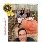 2618 Mendi 2025 (1187,5kg) 2618 Mendi 2025 (1187,5kg)