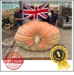 2641.1 Paton 2024 (1198kg) 2641.1 Paton 2024 (1198kg)