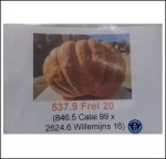 537.9 Frei 2020 (244kg) 537.9 Frei 2020 (244kg)
