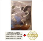 705 Di Palma 2023 (319,7kg) 705 Di Palma 2023 (319,7kg)