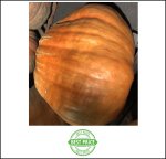 755 Trychta 2019 (342,4kg) 755 Trychta 2019 (342,4kg)