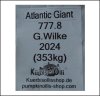 777.8 G.Wilke 2024 (353kg) 777.8 G.Wilke 2024 (353kg)