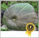 781.3* Wagler 2025 (354,4kg) 781.3* Wagler 2025 (354,4kg)