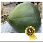 303 MacKenzie 2023 (137,44kg) 1 Kerne 303 MacKenzie 2023 (137,44kg) 1 Kerne