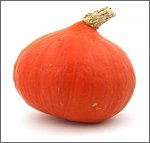 Hokkaido Uchiki Kuri BIO (5 Kerne) Hokkaido Uchiki Kuri BIO (5 Kerne)