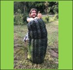 89.3 Kloch 2019 (40,5kg) 1 Kern 89.3 Kloch 2019 (40,5kg) 1 Kern