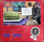 293 Vasilyev 2025 (133kg) 1 Kern 293 Vasilyev 2025 (133kg) 1 Kern