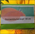 22.04 Puchner 2019 (56cm) 2 Kerne 22.04 Puchner 2019 (56cm) 2 Kerne