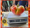 6.00 Rataj 2025 (2,72kg) 1 Kern 6.00 Rataj 2025 (2,72kg) 1 Kern