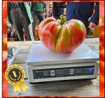 6.00 Rataj 2025 (2,72kg) 1 Kern 6.00 Rataj 2025 (2,72kg) 1 Kern