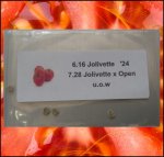 6.16 Jolivette 2024 UOW* (2,794kg) 1 Kern 6.16 Jolivette 2024 UOW* (2,794kg) 1 Kern