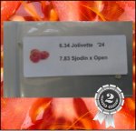 6.34 Jolivette 2024 (1.542kg) 1 Kern 6.34 Jolivette 2024 (1.542kg) 1 Kern