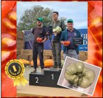 7.32 Akatsuka 2025 (3,32kg) 1 Kern 7.32 Akatsuka 2025 (3,32kg) 1 Kern